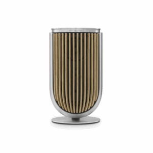 Bang & Olufsen Beolab 8 - Compact Wireless Speaker (Each)