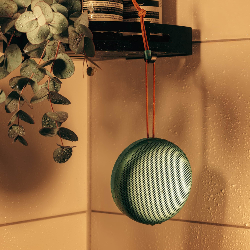 B&O Portable Speakers