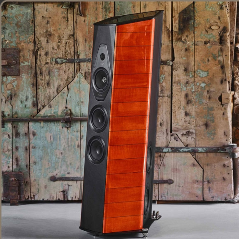 Reference Collection