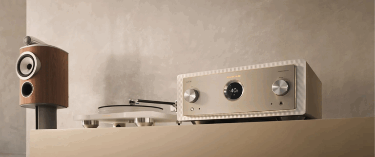 Unlocking the Power of Efficiency: Choosing the Perfect Class D Amplifier